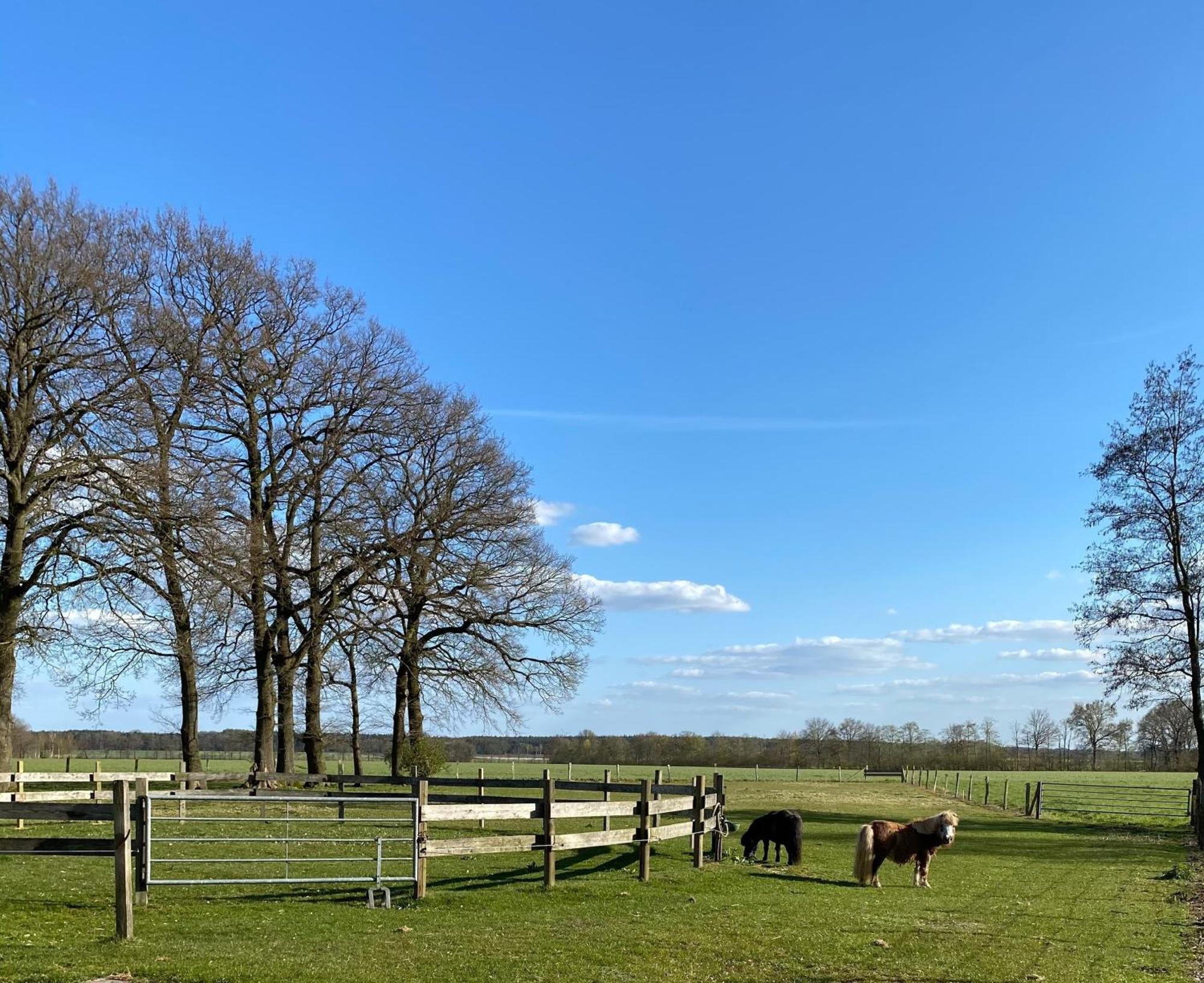 Ferienhof Westermann Waldblick Lähden المظهر الخارجي الصورة